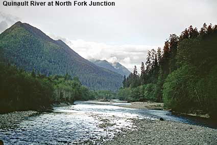 Quinault River at North Fork Junction, Olympic Narional Park, WA, USA