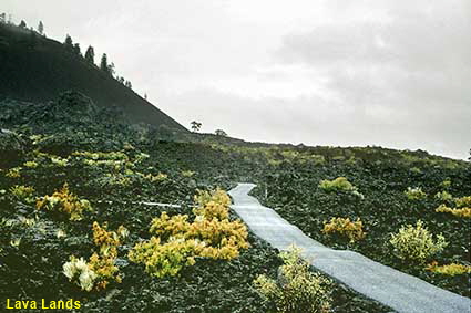 Lava Lands, OR, USA