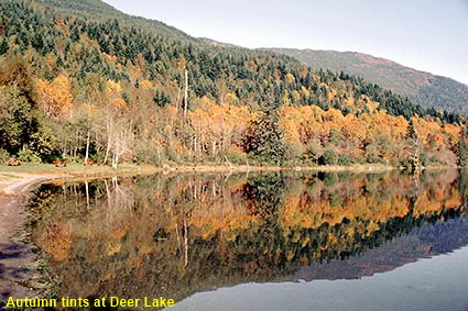  Autumn tints at Deer Lake, Sasquatch Provincial Park, BC, Canada