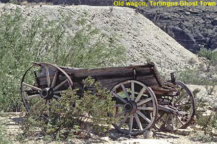 Old wagon, Terlingua Ghost Town, TX, USA