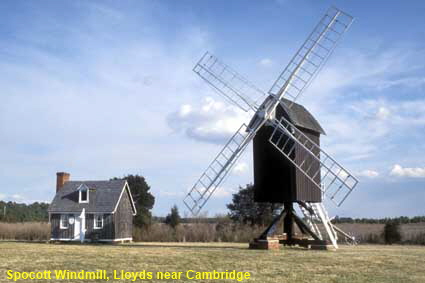 Spocott Windmill near Cambridge, MD, USA