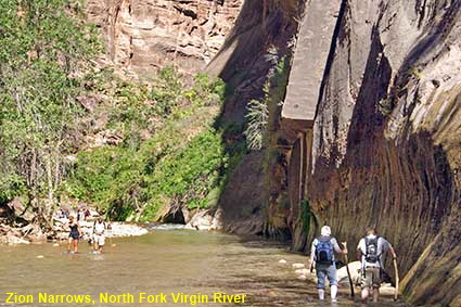  Zion Narrows, North Fork Virgin River, Zion National Park, UT, USA