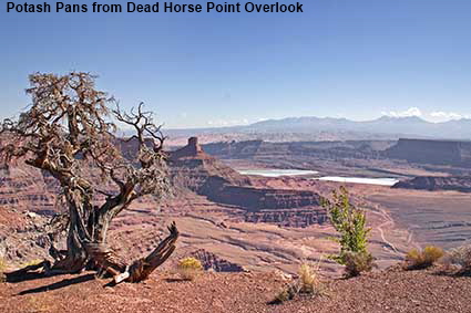  Juniper & Potash Pans from Dead Horse Point Overlook, Dead Horse Point State Park, UT, USA