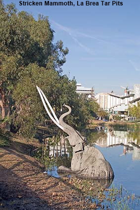  Stricken Mammoth, La Brea Tar Pits, Los Angeles, CA, USA