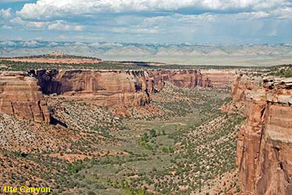  Ute Canyon, Colorado National Monument, CO, USA