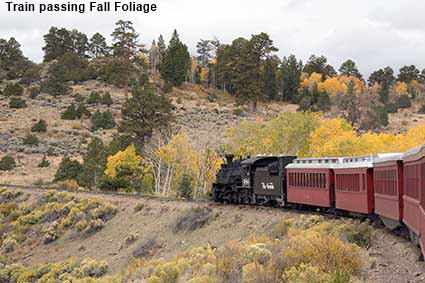   Fall foliage and  train, Cumbres & Toltec Railroad, NM, USA
