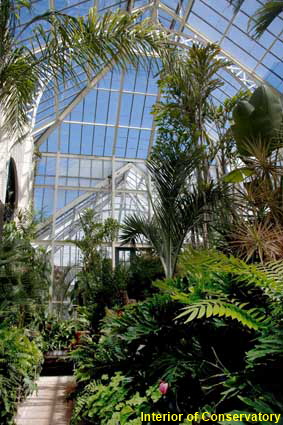  Interior of Conservatory, Biltmore House, Asheville, NC, USA