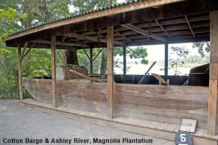  Cotton Barge & Ashley River, Magnolia Plantation, Charleston, SC, USA