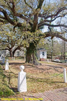  Evangeline Oak, St Martinville, LA, USA